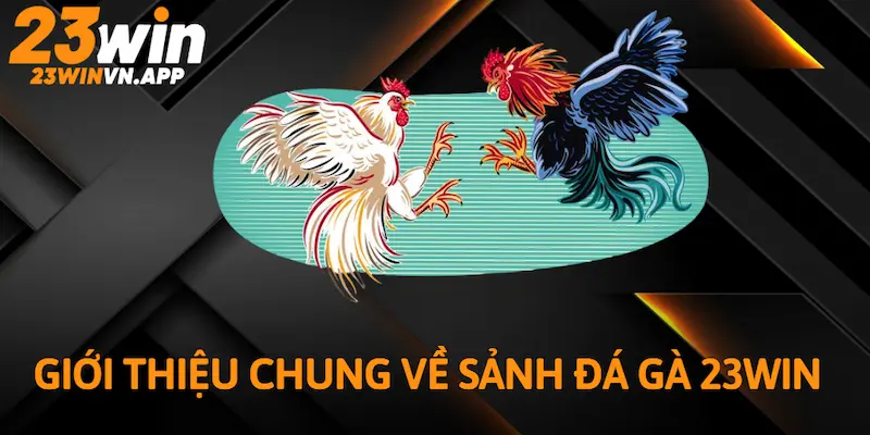 Giới thiệu chung về sảnh Đá Gà 23WIN