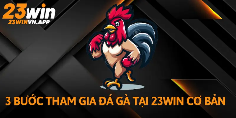 3 bước tham gia Đá Gà tại 23WIN cơ bản