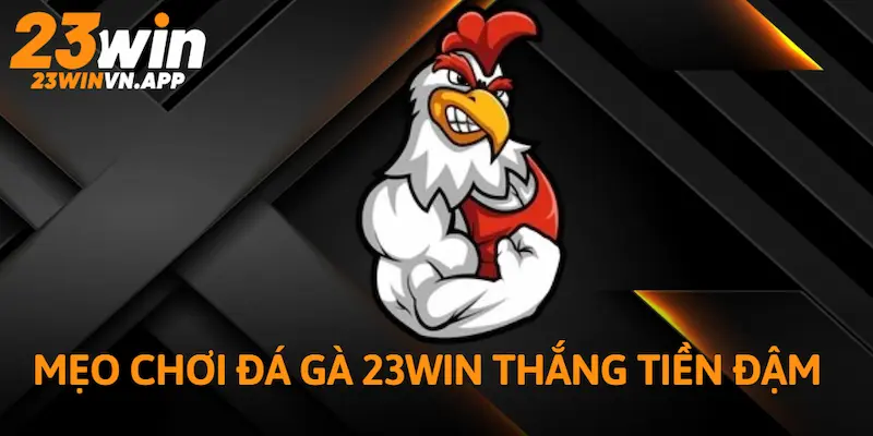 Mẹo chơi Đá Gà 23WIN thắng tiền đậm