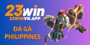 Đá Gà Philippines