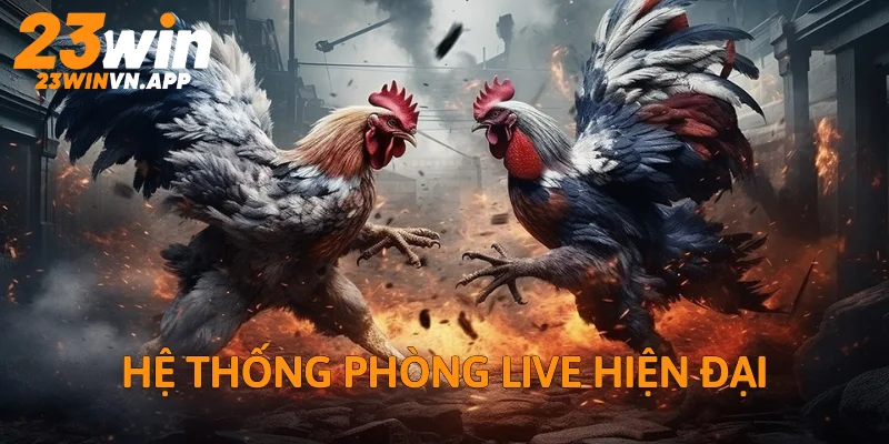 Khám phá hệ thống phòng live hiện đại bậc nhất